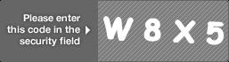 captcha code for visual authentication  letter W number 8 letter X number 5
