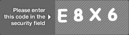 captcha code for visual authentication  letter E number 8 letter X number 6
